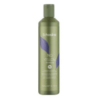 Шампунь проти жовтизни Echosline No Yellow Shampoo, 300 мл.