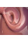 Touch Cover Base Nude, 13мл